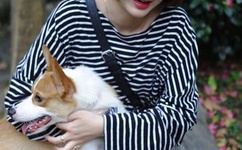 成 人片 黄 色 大 片